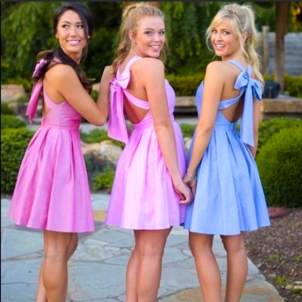 NWT Lauren James Red Chambray Livingston dress